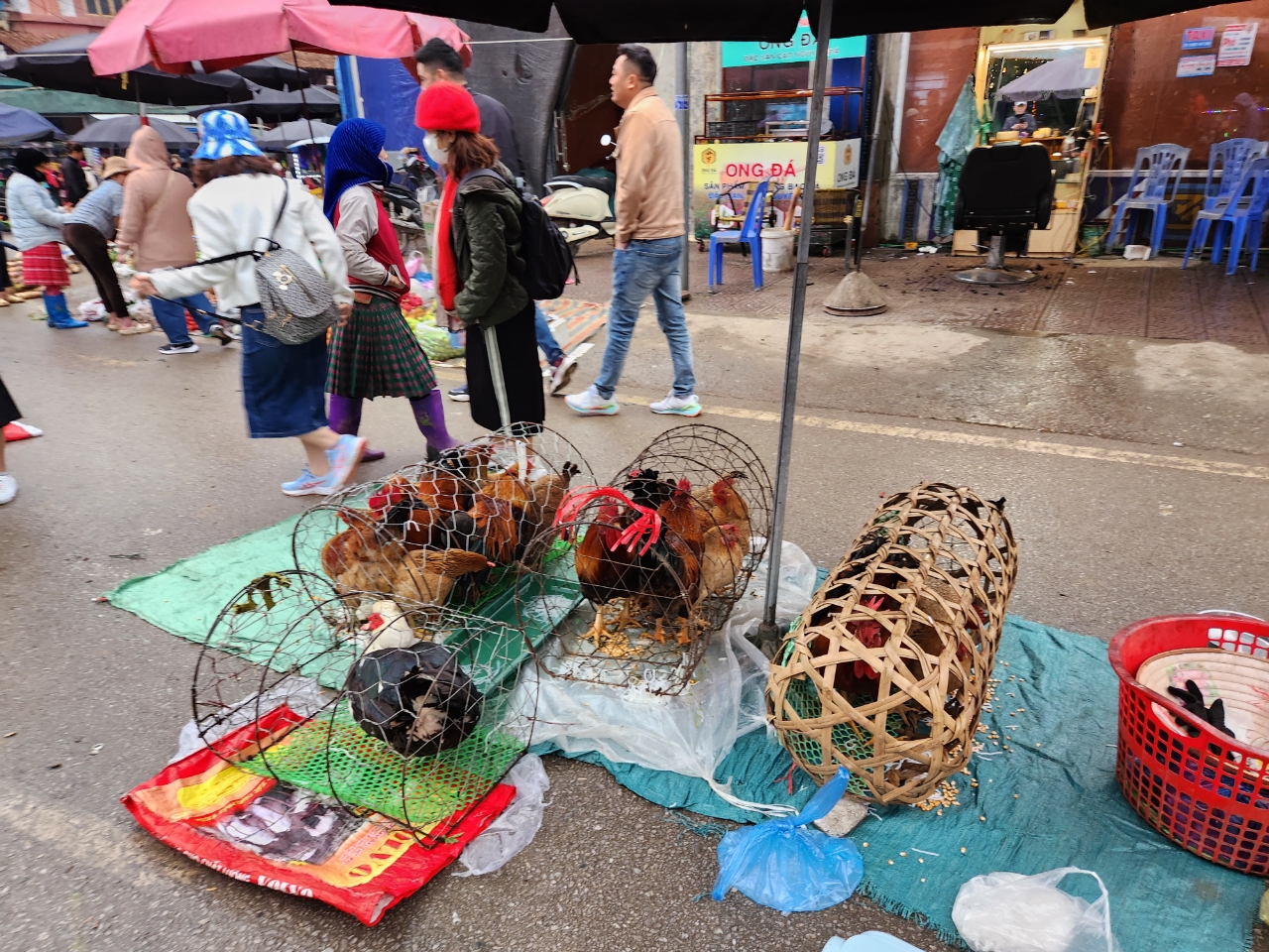 Sapa Hidden Trails: 1-Day Mountain Biking Discovery to Tả Phìn & Remote Ethnic Villages